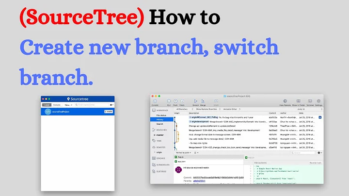 (SourceTree) How to  Create new branch, switch branch.