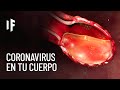 ¿Qué le pasa a tu cuerpo si te contagias de coronavirus?