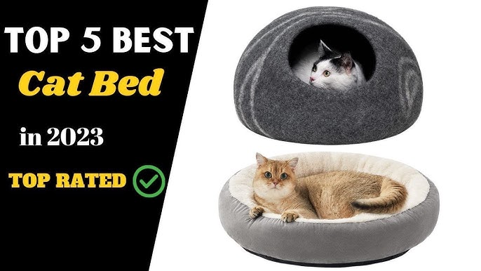 The 5 Best Cat Puzzle Feeders & Slow Feeders 