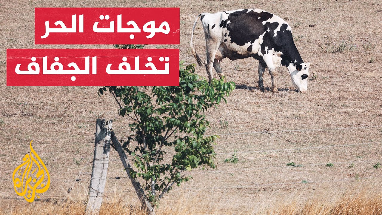 فرنسا تواجه أسوأ موجة جفاف منذ أكثر من 60 عاما