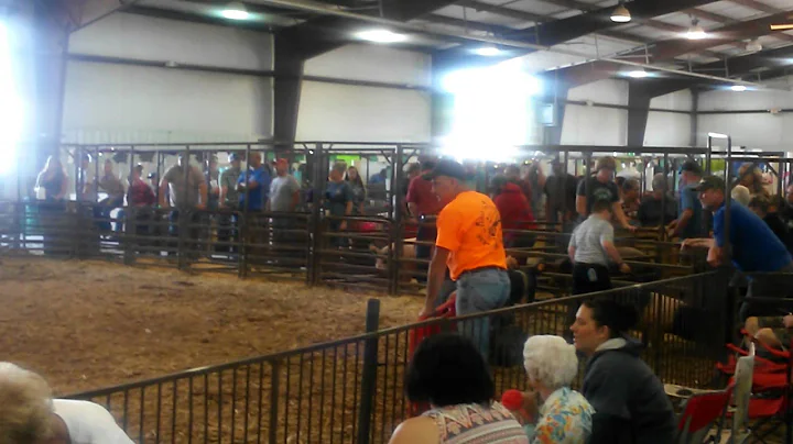 Cauy at the Perry County Fair