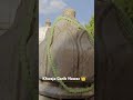 Khwaja Garib Nawaz #ajmer #live #vlog