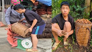During harvest season, the red turmeric paints the entire small garden a vibrant red.