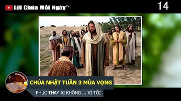 CHÚA NHẬT TUẦN 3 MÙA VỌNG PHÚC THAY AI KHÔNG VẤP NGÃ VÌ TÔI