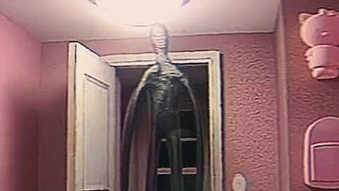 Backrooms - Kitty's House (level 974 found footage)