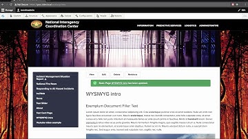 WYSIWYG: Inserting Images