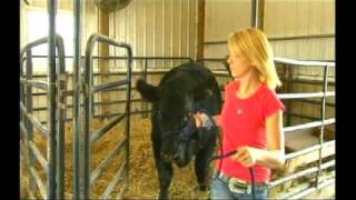 Doc Sanders: Show Time!
Kids in 4-H work throughout the year to get their animals ready for a big day at the fair. From Our Ohio Show 425, produced in 2009. Doc Sanders: Show Time!