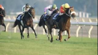 1998 第118回 天皇賞 秋 ラジオ日本・日曜競馬実況中継 オフサイド
