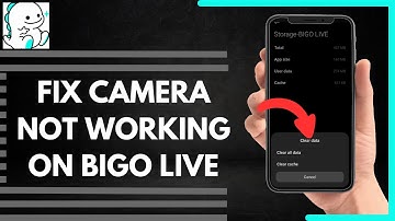 How To Fix Camera Not Working On Bigo Live