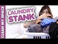 Laundry Stank! (Clean My Space)