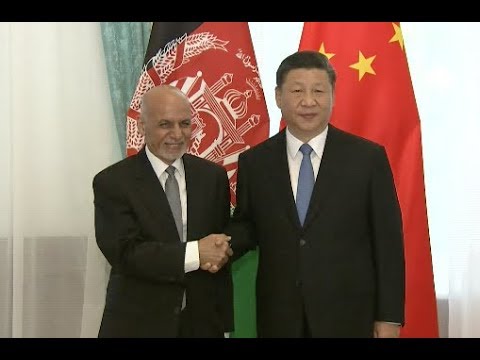 Chinese, Afghan Presidents Pledge Joint Efforts to Promote Ties newspaper mockup
