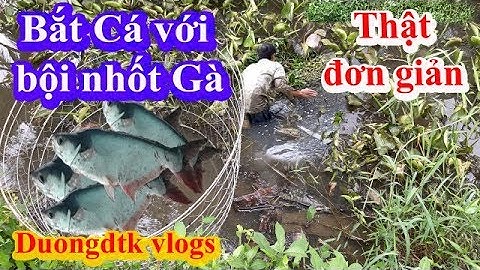 CÁCH BẮT CÁ ĐỘC LẠ NHẤT CHỈ CÓ Ở MIỀN TÂY | Một Góc Miền Tây | Amazing fish