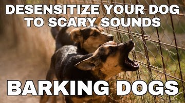 Dog Desensitization Sounds for Dogs & Puppies: Dogs Barking and Howling