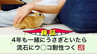 うさぎと暮らしているとウ◯コ耐性がめっちゃ付く説　#1022