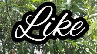 Download lagu CB band - Kintamani Lirik