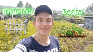 Welcome To My Babushkas Dacha