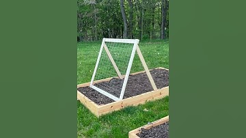16 DIY Cucumber Trellis Ideas to Save Space