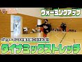 パフォーマンスを最大限に引き出す!!ダイナミックストレッチ / Dynamic Stretch【市立柏高校女子バスケ部】