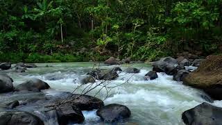 Beautiful River Sounds, Soothing White Noise for Relaxation-Forest Stream Relaxing River Sounds
