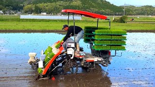 Kubota】『NW8S GS 』Agriculture 8条植え 田植え機 早すぎる 田植え