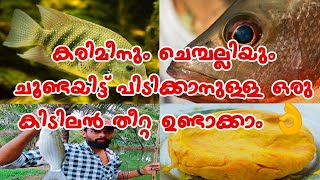 ചൂണ്ടയിട്ട് മീൻ പിടിക്കാൻ ഉള്ള ബെസ്റ്റ് തീറ്റ | Fishing | How to make a good food for Fishing