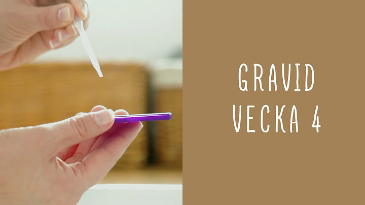 Gravid vecka 4