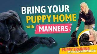 Bring Your Puppy Home with Manners