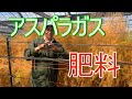 【アスパラガス】春アスパラを収穫するために！