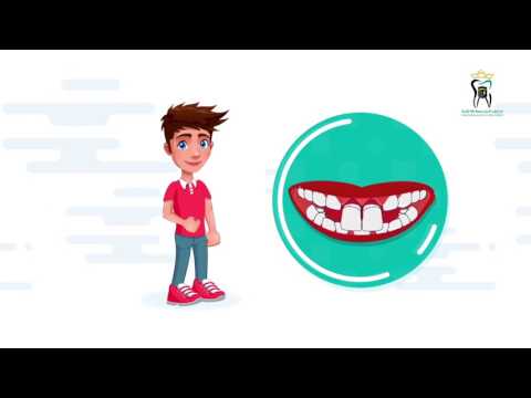 أنواع الأسنان ووظائفها - إدارة طب الأسنان بصحة مكة المكرمة