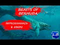 BEASTS OF BERMUDA - МОЗАЗАВРЫ ПУТЕШЕСТВЕННИКИ. Выживаем за ВОДНОГО динозавра!