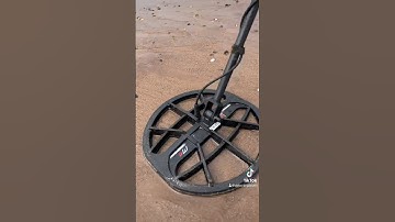 Minelab Manticore Beach Ready! #minelab #detecting #short