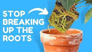 These 5 Plant Hacks Change EVERYTHING