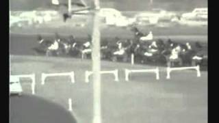 Prix d'Amerique 1977 -Bellino II