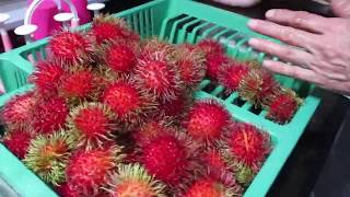 Rambutan Amazing number of ants came with them!!!