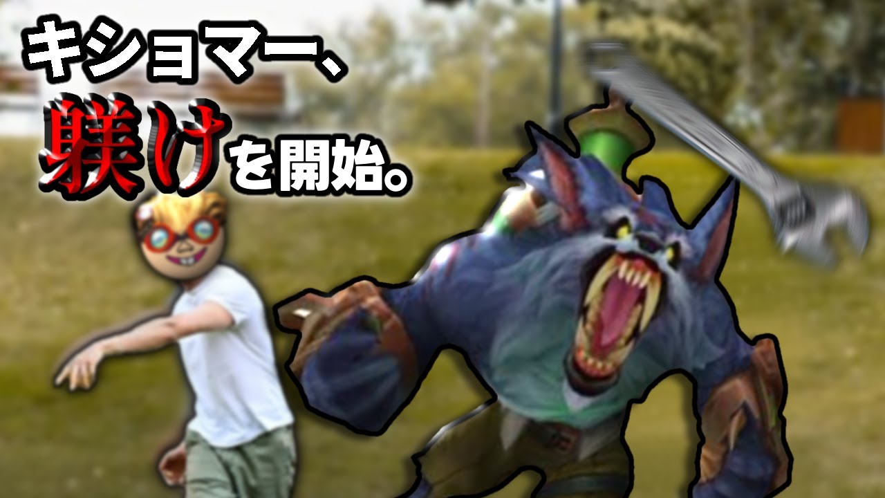 【悲報】キショマー、躾けを開始。