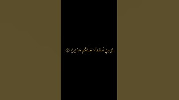 شريف مصطفى - سورة نوح