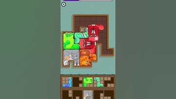 Puzzle Cats - Gameplay Walkthrough (iOS & Android) #shorts #gaming#puzzlecats #funny