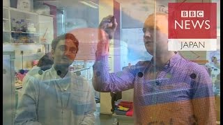 ホーキング博士たち英科学者がEU離脱に反対するわけ
