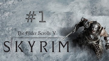Skyrim Special Edition Modded Mess Let