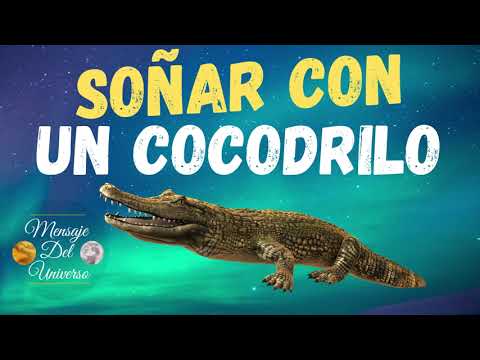 Video: ¿Con qué puede soñar un cocodrilo en un sueño para una mujer?