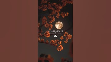 عيناً فيها تسمئ سلسبيلا ♡ || تلاوة تريح القلوب ♥صوت جميل جداً #راحة_نفسية