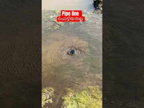 കണ്ടപ്പോ pipe line പൊട്ടിയെന്ന് കരുതി #ytshorts #youtubeshorts #water #sea #amazing #viral #shots