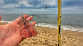 Usei essa ISCA e só veio PEIXE GRANDE!!! Incrível Pesca de praia