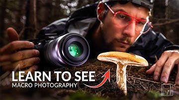UNLOCKING the ART of SEEING - Mushroom Photography with my Canon RF 100mm Macro Lens