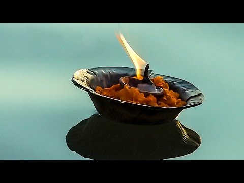 Wunder Der Lebenskraft Wunder Der Lebenskraft