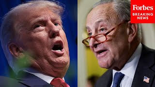 'No One Is Above The Law, Including Donald Trump': Schumer Blasts Trump Ahead Of Arraignment