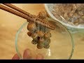 Chickpea natto (Garbanzo) -Non-Soybean Series-