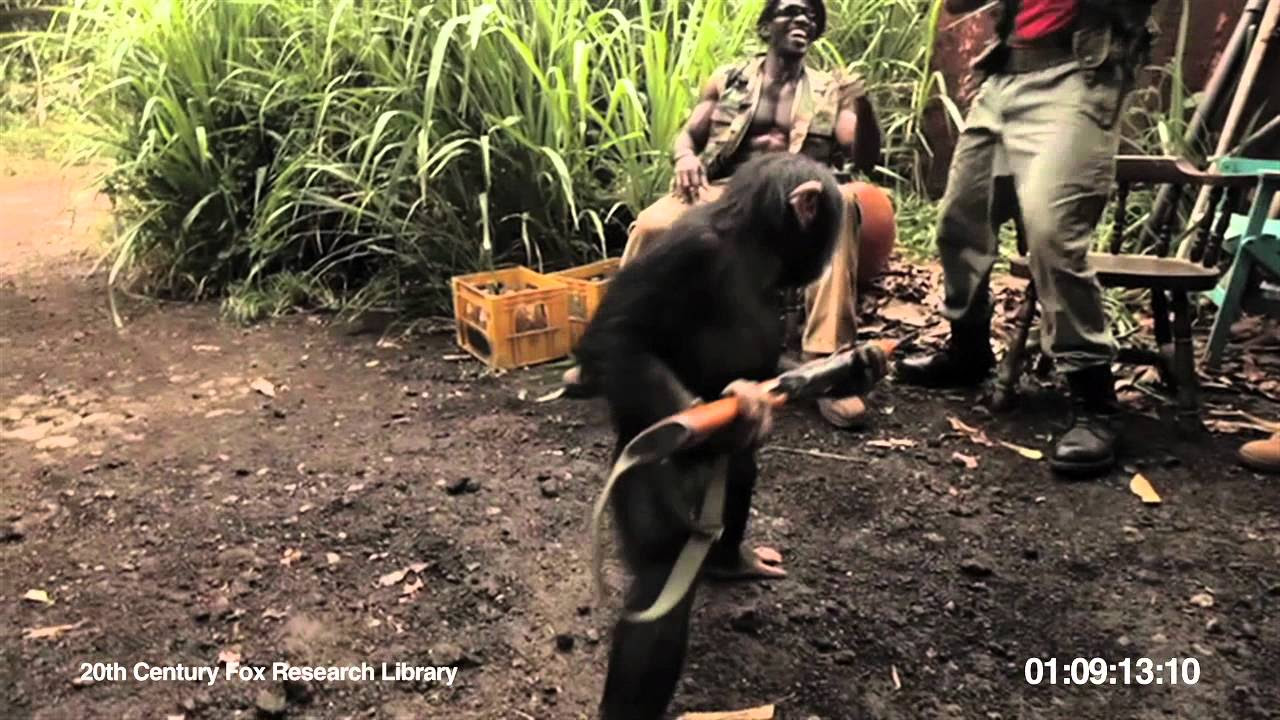 RISE OF THE PLANET OF THE APES  Viral Video Ape With AK 47