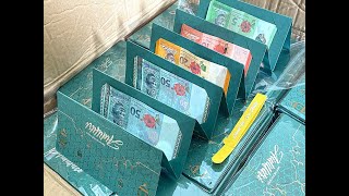 [10 Card Slots] Sampul Hijau Duit Raya, Perkahwinan, Chinese New Year Red Envelopes Angpao Wedding