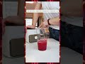 Stop Scrolling! Make this Watermelon Yakult Soda 🧊 #shorts #food